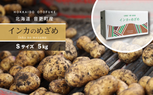 ［先行受付］おとふけ産じゃがいも「インカのめざめ」5kg（Sサイズ）【B126】2025年11月下旬頃より順次発送予定