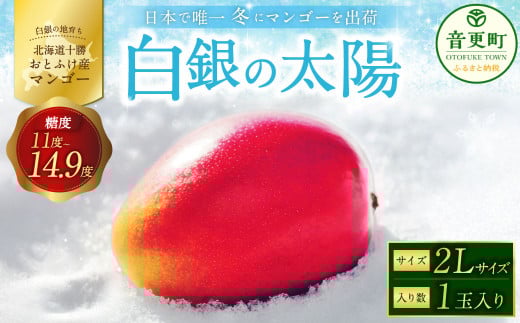 ［先行受付］おとふけ産マンゴー「白銀の太陽」2Lサイズ×1玉【C64】《2025年11月上旬より発送開始予定》