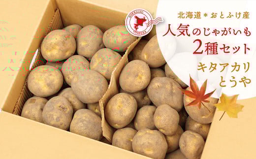 【先行受付】北海道おとふけ産 人気のじゃがいも 2種セット「キタアカリ・とうや」合計9kg 【B73】2025年10月中旬頃より発送予定