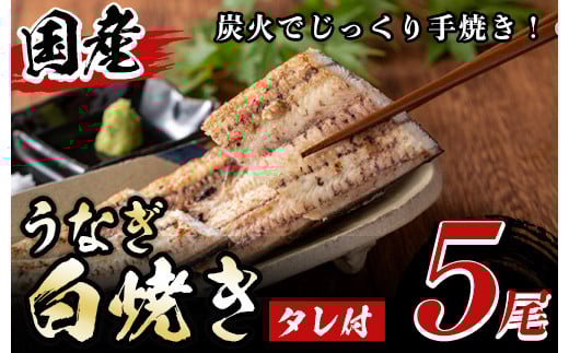 y489 国産!うなぎ白焼き(5尾・タレ付き) 国産 九州産 鰻 ウナギ 無頭 魚 魚介類 かばやき 蒲焼 蒲焼き しろやき 白焼 おかず 特産品 お土産 ギフト プレゼント 冷蔵【尾方屋】