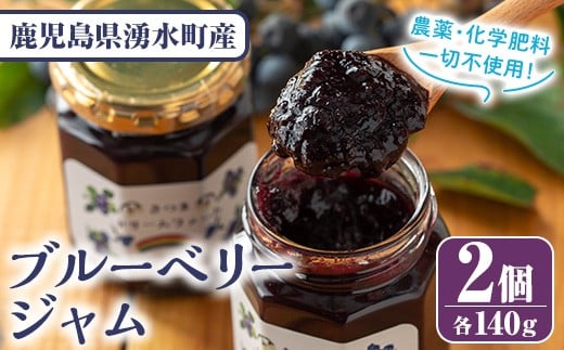 y529 ブルーベリージャム(計2個・140g×2) 果物 くだもの フルーツ ジャム ベリー 自家製 パン ヨーグルト 朝食 食品 加工品 常温【体験型観光農園さつまドリームファーム】