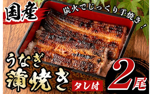 y135 国産!うなぎ蒲焼き(2尾・タレ付き) 国産 九州産 鹿児島県 宮崎県 鰻 ウナギ unagi うな重 うな丼 ひつまぶし うなじゅう 蒲焼 かばやき 無頭 魚 魚介類 土用 丑の日 タレ タレ付 おかず 惣菜 冷蔵 特産品 お土産 ギフト プレゼント ご贈答 真空パック 湯煎 レンジ 簡単調理 内容量選べる 尾数選べる えらべる [尾方屋]