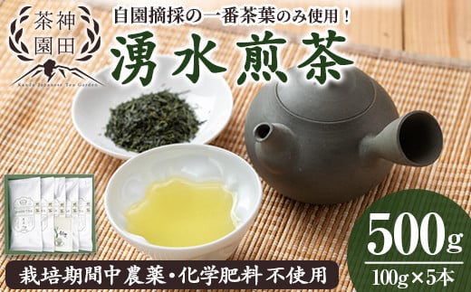 y312 《数量限定》鹿児島県湧水町産!栽培期間中農薬・化学肥料不使用!湧水煎茶(100g×5本) 国産 九州産 鹿児島県産 茶葉 お茶 茶 日本茶 緑茶 煎茶 一番茶 湧水茶 浅蒸し茶 ギフト 贈答 プレゼント 贈り物 令和7年産 【神田茶園】