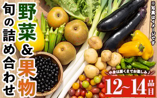 y358 野菜と果物旬の詰め合わせ(12~14品目) 国産 九州産 鹿児島県産 野菜 やさい果物 くだもの フルーツ デザート 詰め合わせ お楽しみ セット 旬【鹿児島県経済農業協同組合連合会】