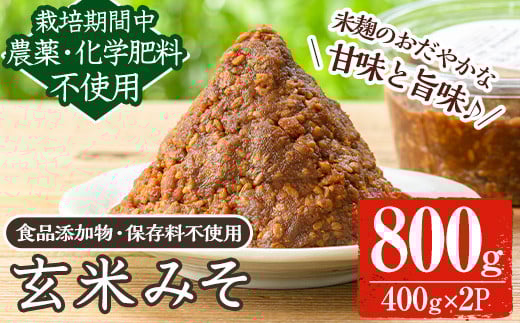 y455 《数量限定》玄米味噌(計800g・400g×2パック) 味噌 玄米味噌 大豆 麹 こうじ みそ汁 味噌汁 野菜炒め 田楽 化学肥料不使用 農薬不使用 有機 有機農業 有機肥料【雲月農園】