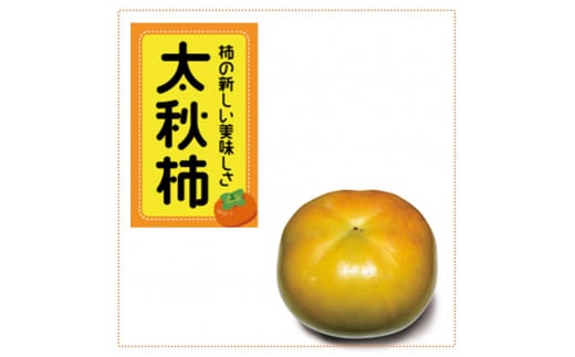 太秋柿 約4.5kg