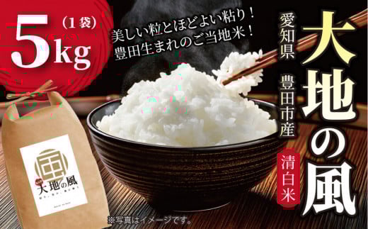 [先行予約][令和7年産新米]豊田市産「大地の風」精米5kg(1袋)