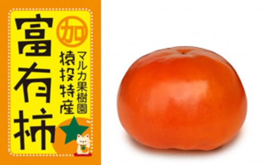 ＜先行受付＞富有柿　約3.7kg【2025年11月上旬以降順次発送】