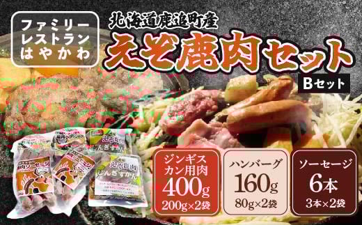 えぞ鹿肉セットB 【 ふるさと納税 人気 おすすめ ランキング エゾシカ肉 えぞ鹿肉 蝦夷鹿肉 蝦夷シカ肉 えぞ鹿ジンギスカン えぞ鹿ソーセージ えぞ鹿ハンバーグ 北海道 鹿追町 送料無料 】 SKF004