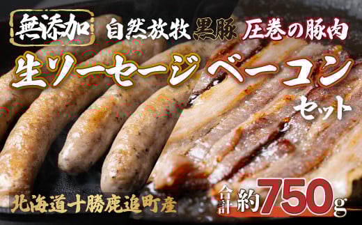 鹿追産 自然放牧圧巻の黒豚 無添加ベーコン＆無添加ソーセージ 【 ふるさと納税 人気 おすすめ ランキング 黒豚 豚 豚肉 黒豚肉 ソーセージ ベーコン 豚ソーセージ 豚ベーコン 北海道 鹿追町 送料無料 】 SKN008