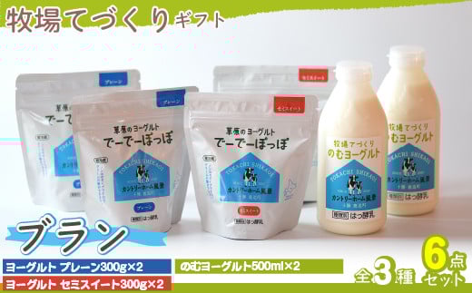 牧場直送ギフト【 ブラン 】 【 ふるさと納税 人気 おすすめ ランキング ヨーグルト プレーンヨーグルト セミスィートヨーグルト のむヨーグルト ミルクコーヒー 北海道 鹿追町 送料無料 】 SKB017