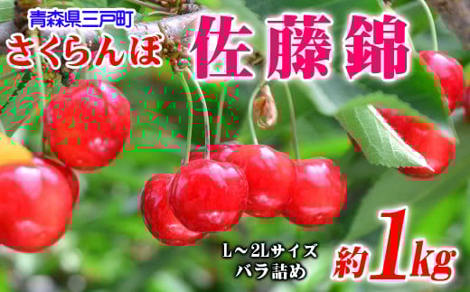 さくらんぼ【佐藤錦】 約1kg（L～2Lサイズ）バラ詰め【2025年産・先行予約】★2025年6月中旬～7月上旬頃にかけて順次発送予定★ 青森県三戸町産