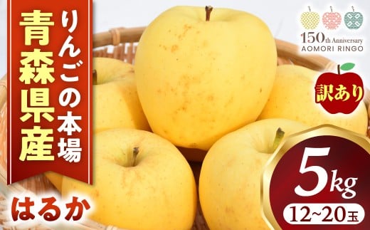 【訳あり】高級りんご【はるか】約5kg(12~20玉)【2025年産・先行予約】★2025年12月上旬~2026年1月上旬頃まで発送予定★ りんご 林檎 リンゴ 訳あり はるか 国産 フルーツ 果物 希少 青森県 三戸町 H3022