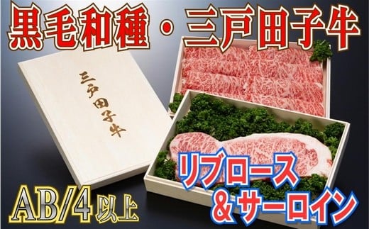 【黒毛和牛A4・B4等級以上】リブロース460g & サーロイン200g