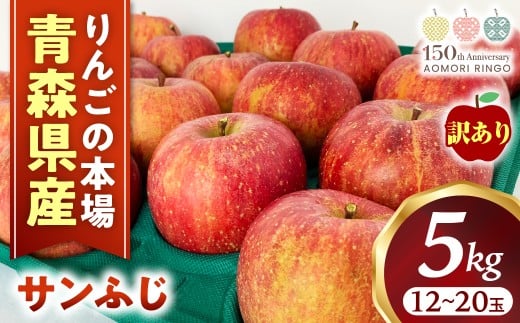 【訳あり】りんご【サンふじ】約5kg(12~20玉)【2025年産・先行予約】★2026年1月以降順次発送予定★ アップル 林檎 フルーツ 果物 果実  産地直送 農家直送 送料無料 青森県三戸町 R0609