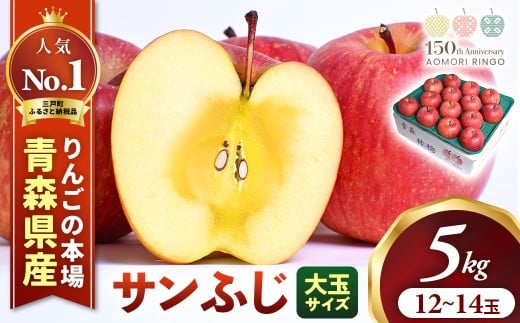 りんご【サンふじ】約5kg（12～14玉・大玉サイズ）【2025年産・先行予約】★2025年12月上旬～12月下旬頃発送予定★ 青森県三戸町産 アップル 林檎 フルーツ 果物 果実 青森県産 三戸 贈答 ギフト プレゼント 産地直送 農家直送 送料無料  青森県三戸町 H2908