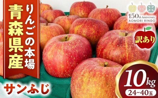 【訳あり】りんご【サンふじ】約10kg(24~40玉)【2025年産・先行予約】★2025年12月発送予定★ アップル 林檎 フルーツ 果物 果実 青森県産 三戸 産地直送 農家直送 送料無料  青森県 三戸町 R0620
