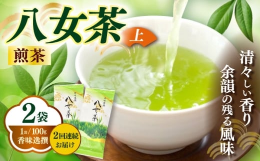 【全2回定期便】八女茶(上)煎茶 100g×2袋《築上町》【株式会社木村食品(千代海苔株式会社)】お茶 茶 緑茶 ギフト [ABEI038]