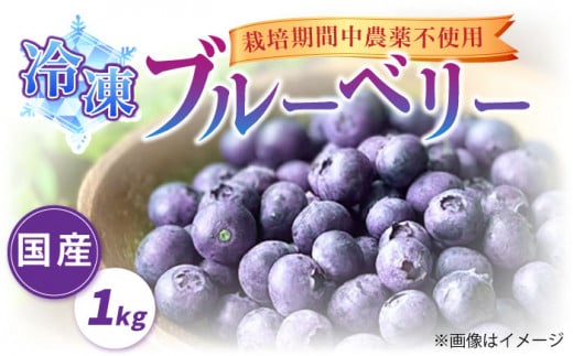 ブルーベリー 1kg 冷凍[築上町][(有)工房よしかわ]国産 ブルーベリー [ABAK001] フルーツ 果物 1kg 国産 冷凍