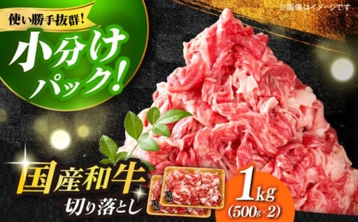 [たっぷり大容量!]博多和牛 切り落とし 1000g (500g×2P)[築上町][株式会社MEAT PLUS] 牛肉 肉 [ABBP010] 13000円