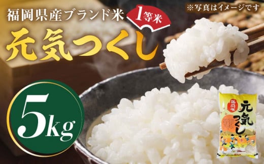 [先行予約][令和7年産]福岡県産ブランド米「元気つくし」白米 5kg[2025年11月以降順次発送][築上町][株式会社ゼロプラス] [ABDD001] お米 白ご飯 元気つくし ブランド米 白米 おにぎり ごはん 食品 一等米 九州 福岡県 21000円