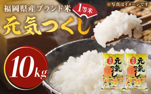 [先行予約][令和7年産]福岡県産ブランド米「元気つくし」白米 10kg (5kg×2袋)[2025年11月以降順次発送][築上町][株式会社ゼロプラス] [ABDD003] お米 白ご飯 元気つくし ブランド米 おにぎり 白米 一等米 食品 九州 福岡県 42000円
