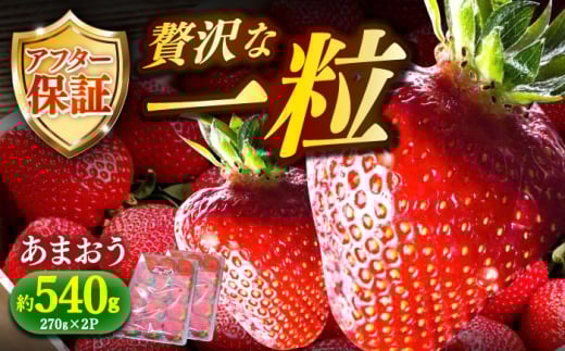 【2月1日から順次発送】農家直送 朝採り新鮮いちご【博多あまおう】約270g×2《築上町》【株式会社H&Futures】 [ABDG003] 8000円