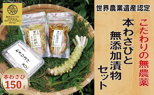 【世界農業遺産認定】西伊豆町の本わさび・無添加漬物セット(岡原わさび) 西伊豆町 天城山 清流 わさび 本わさび しょうゆ漬け 三杯酢漬け わさび漬け 無添加 お刺身 さしみ ステーキ 薬味 冷蔵 西伊豆 伊豆 ギフト お歳暮 お中元
