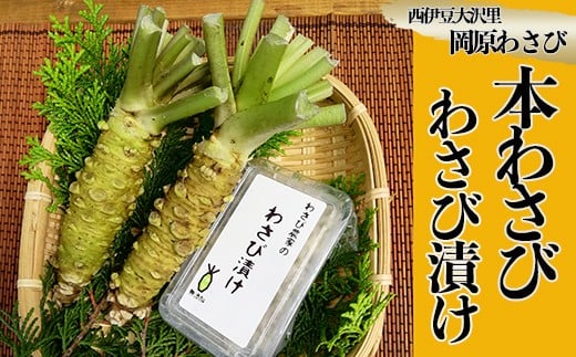 【世界農業遺産認定】西伊豆町の本わさび・わさびづけセット(岡原わさび) 西伊豆町 天城山 清流 わさび 本わさび わさび漬け 無添加 お刺身 さしみ ステーキ 薬味 冷蔵 西伊豆 伊豆 ギフト お歳暮 お中元
