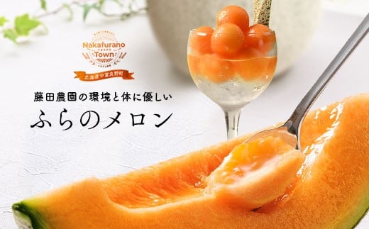 【2026年発送】藤田農園ふらのメロン（赤肉）8kg以上