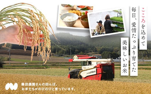 【令和7年産】お米おぼろづき　10kg（玄米）