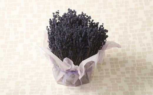 【2025年7月収穫】ドライフラワー濃紫