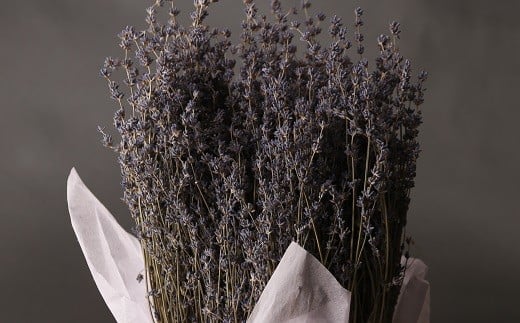 【2025年7月収穫】ドライフラワー おかむらさき