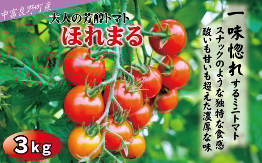 【2026年発送】【中富良野町】寺坂農園ミニトマト　ほれまる　3kg