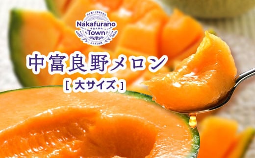 【2026年発送】北海道赤肉メロン　大玉2玉（計3.2kg以上）