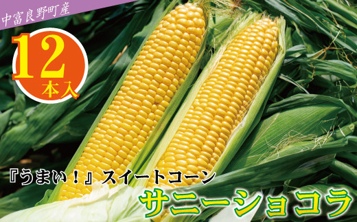 【中富良野町　寺坂農園】とうもろこし『サニーショコラ』(12本入り)