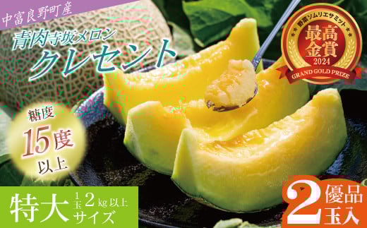 【2026年発送】【中富良野町】寺坂メロン　2玉入り（青肉特大）