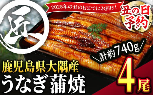 2870 [土用の丑の日予約][数量限定]鹿児島県大隅産うなぎ蒲焼4尾(740g)[2025年7月19日までに順次発送]うなぎ 国産 鹿児島 鹿屋市 本格 鰻 ウナギ 蒲焼 冷凍 湯煎 レンジ 解凍 簡単調理 鰻丼 鰻重 ひつまぶし 魚 土用の丑 小分け