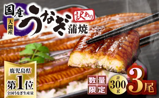 [訳あり][数量限定]鹿児島県大隅産うなぎ蒲焼き3尾セット(計300g) KN007-003-01