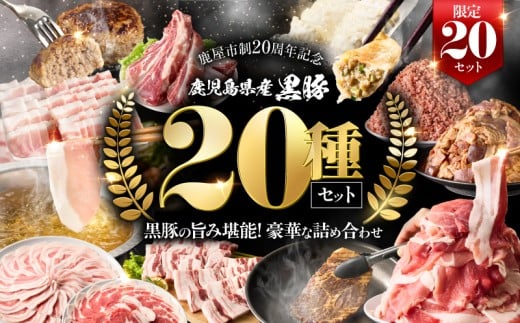 [期間限定 GCF限定お礼の品]鹿児島県産 黒豚 20種類入りセット[20セット限定] KN054-G02