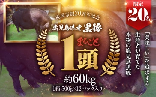 [期間限定 GCF限定お礼の品]鹿児島県産 黒豚 まるごと1頭を20名限定お届け! KN054-G01