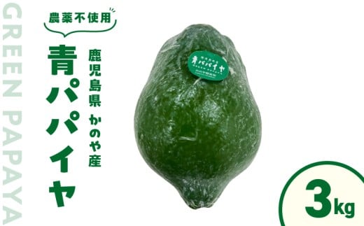かのや産青パパイヤ 約3kg [農薬不使用] KN026-019-02