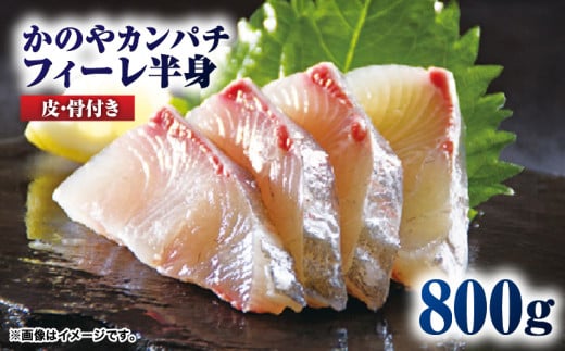 1-1 かのやカンパチフィーレ　KN001-002