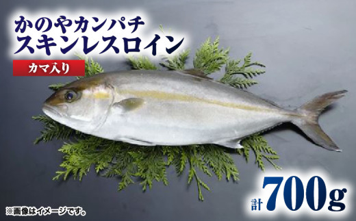174-1 かのやカンパチロイン(カマ入) KN001-001