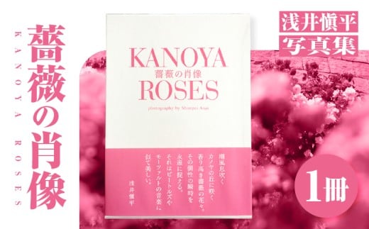 1031 浅井愼平写真集 薔薇の肖像 KANOYA ROSES KN002-001