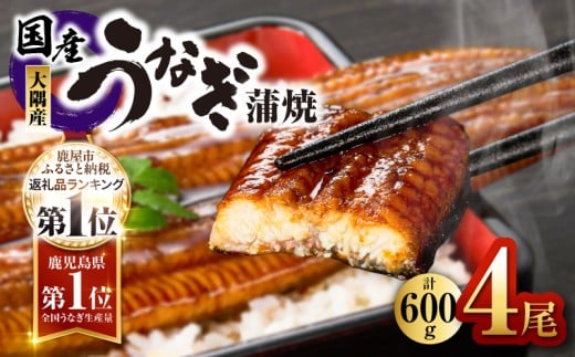 鹿児島県大隅産うなぎ蒲焼4尾(600g) KN007-004-04