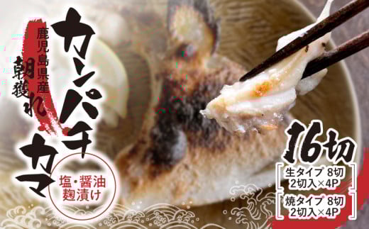 1033 カンパチカマ塩・醤油麹(こうじ)漬け16切 KN037-001-03