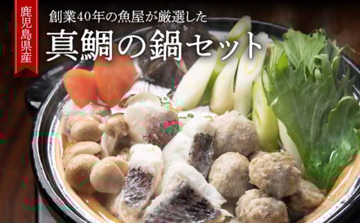 1390 創業40年の魚屋が厳選した鹿児島産真鯛の鍋セット(生うどん付き) KN025-001