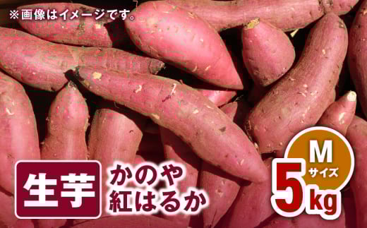 1673 かのや紅はるか 生芋Mサイズ 5kg KN011-002-01