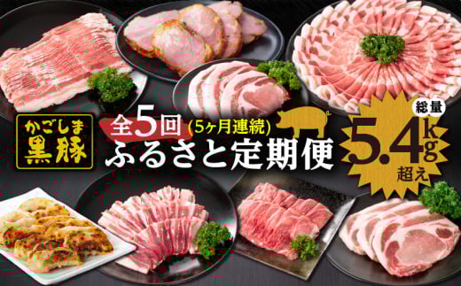 1563-1 鹿児島黒豚ふるさと定期[全5回] KN038-T02